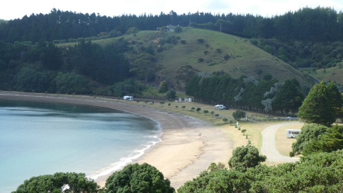 1D029B49-6205-419A-8BC5-5F13829DB3BF