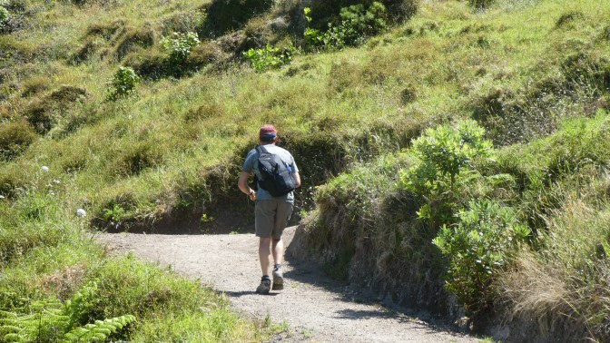 2CDF3333-6987-4F17-B94D-7DB7EB2485E7