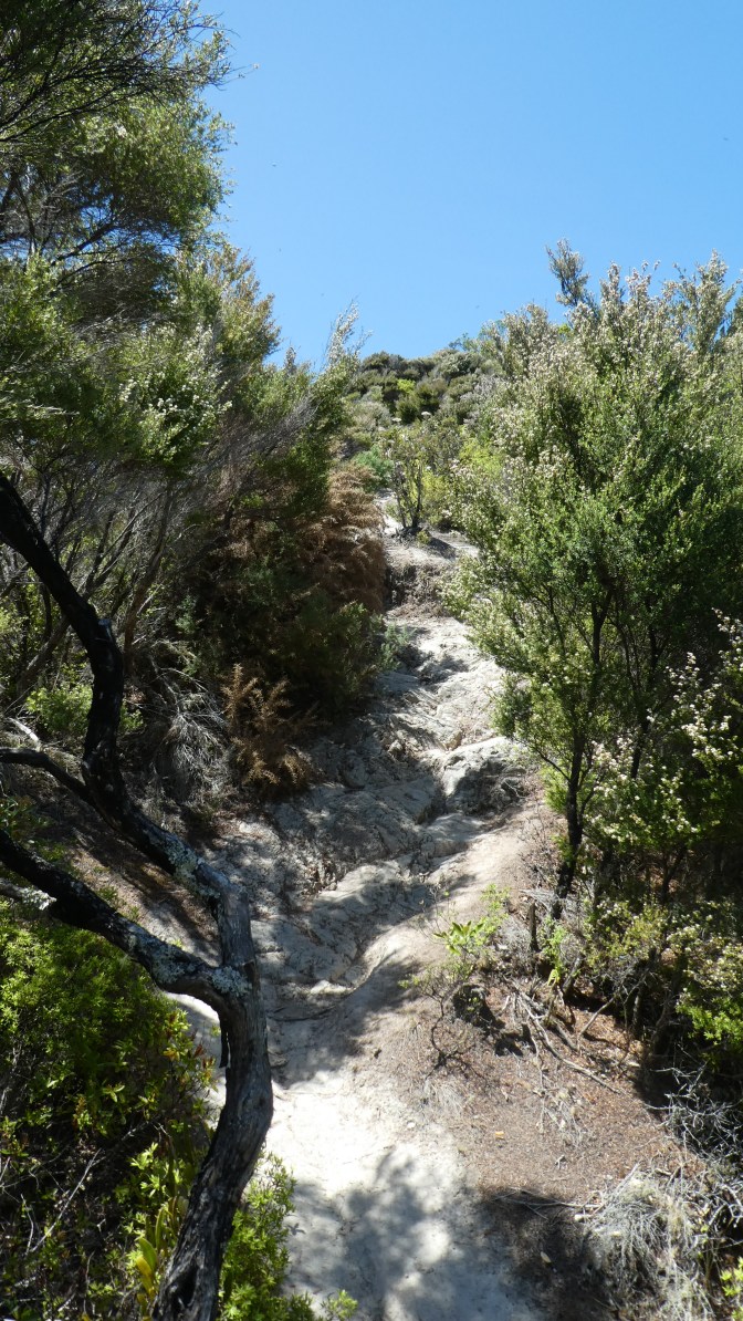 306DD712-6C56-4D2C-9C61-5CD2B725C635