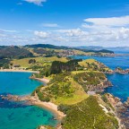 Our Tree still Stands!