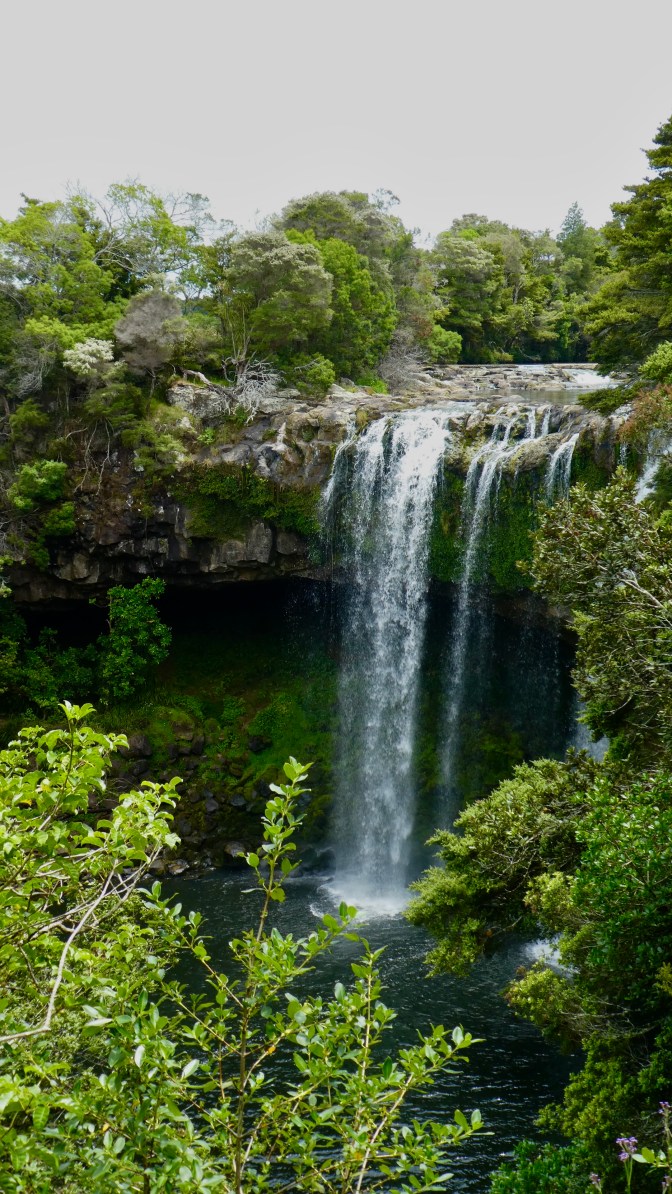 3D383DD0-74E1-4CAE-860D-93673753DB04