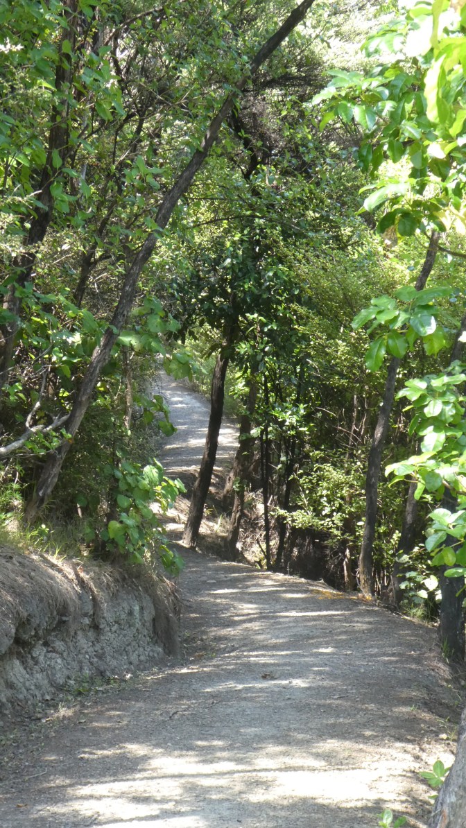 4083330E-03A5-47F2-A870-49002E2ED11C