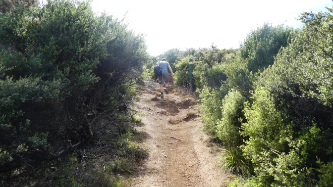 43437110-4954-44DD-BFCB-5239AF1F5C95