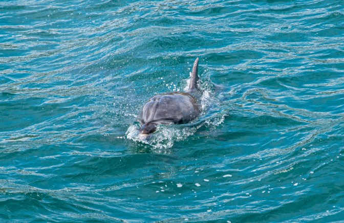 47F57E97-9818-4545-8F4B-498402E9857A