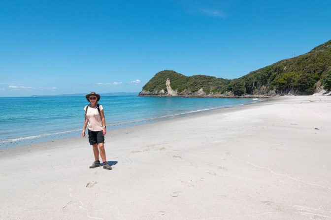 4DC8B682-AD18-4ED8-8B78-81B81181AF2C