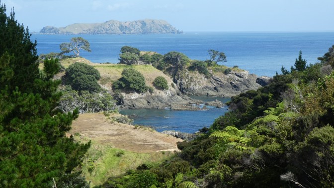 54B52D14-2B48-4CB4-AE96-CF058D724943