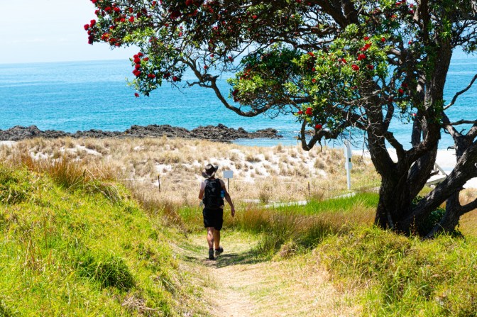 55D7ADFF-0FB8-4AE8-A791-48939309165D