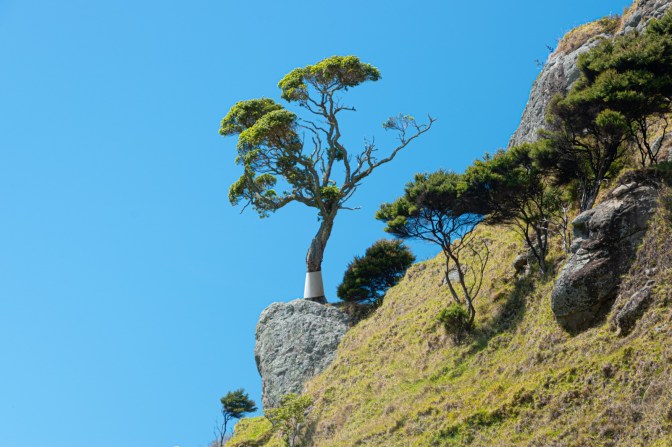 590B68F4-FA85-4733-84C8-098ADA05EB06