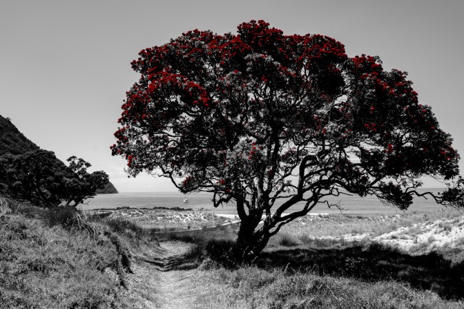 6ADAA653-354F-4A88-A54A-E079EC57E91C