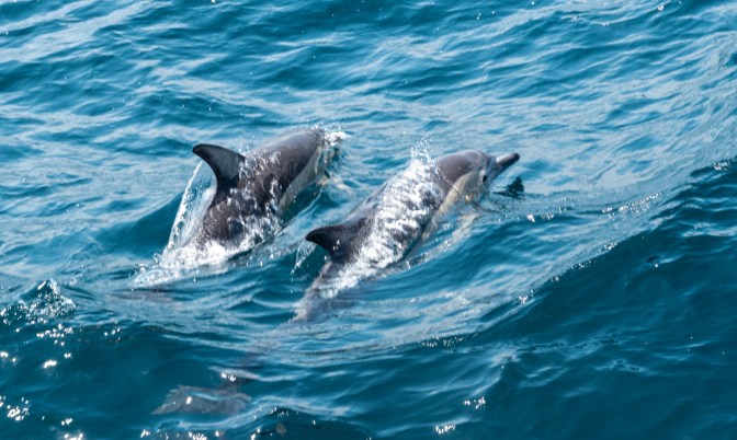 6D613CA5-3B18-47E3-8D3F-72972A3F5D6A