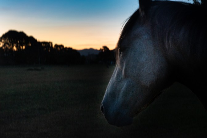 73BE0B00-8AE0-4D72-9249-8F02304F5EBC