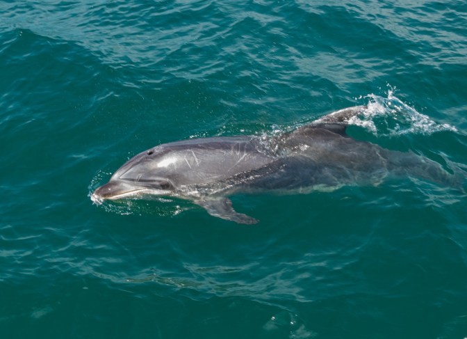 75AFC8AB-F7C1-4260-857D-647DF74BE914