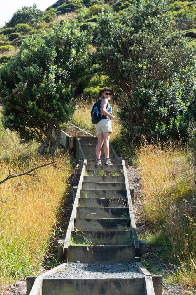 7BBC9A40-309E-4B52-BF8A-F4BD86A9A312