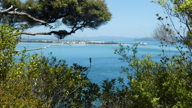 7C754C7C-D572-44AD-9ED8-B14BB0B923BF