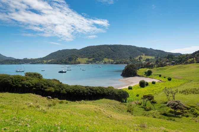 7CDD2476-5176-4940-A55F-4DAA13B7715F