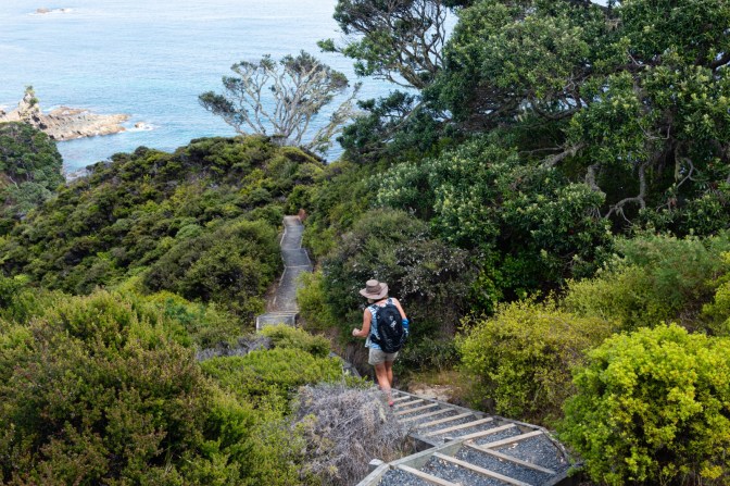 808D5AA6-49D8-4575-8C0F-8CC59A27E0DF