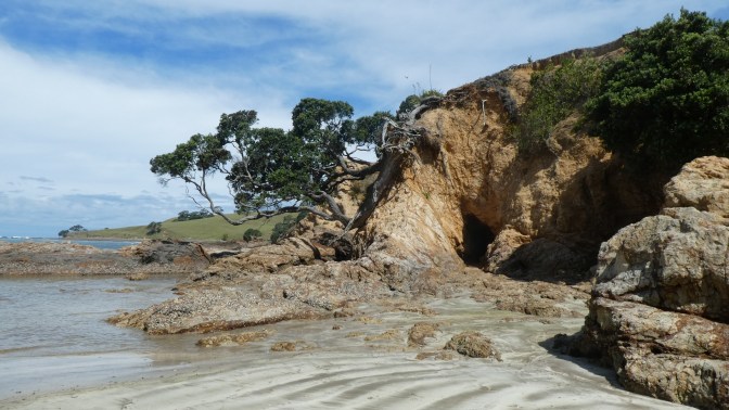 82C38A30-BCCE-488D-8CA7-90177D477E5F