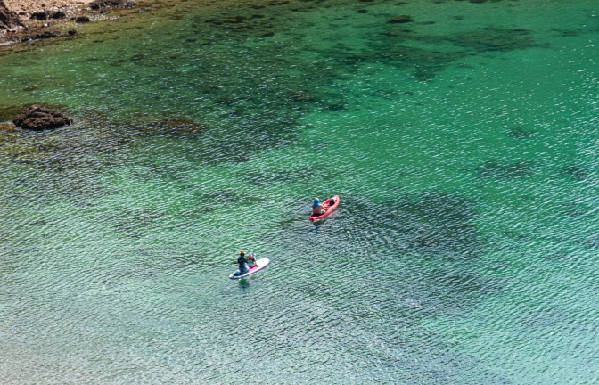 88505EDD-83AD-4160-B9C8-C4A7AA969CAE