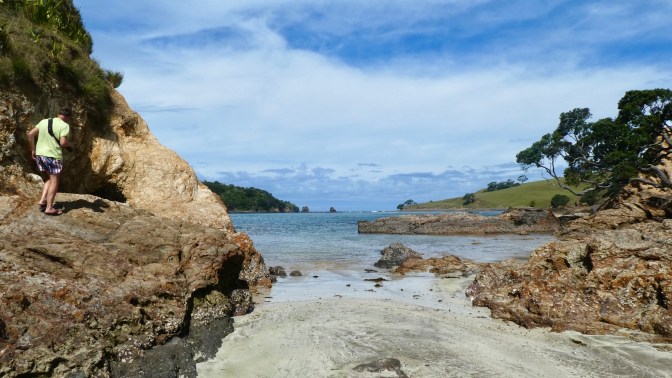 8DE2103B-FF26-416A-AE34-92574C794EE0