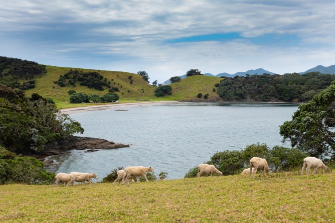 9681F466-A8C7-411B-B688-7BC5D02461DC