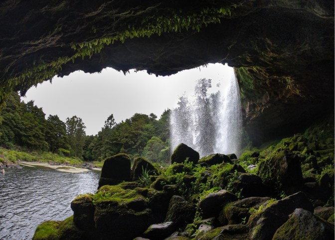 B31D1866-5BAC-4E1E-92C8-B7643F40F0CD