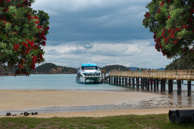 B7A168B6-0C09-43AD-AC77-DE3905D29D5E