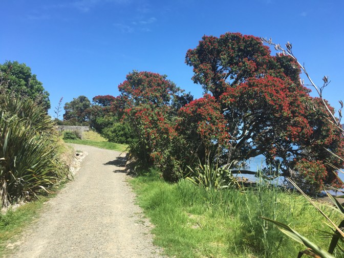 C60E4811-C3BE-4BDF-BA11-033567AFF7CA