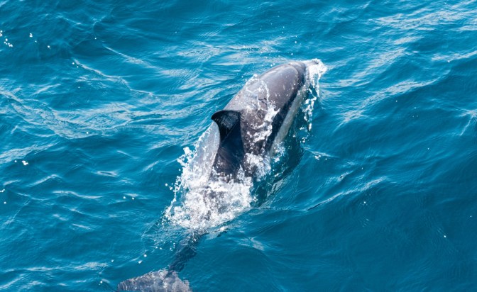 D65C6ABE-FA85-495B-8819-E880DCC824C9