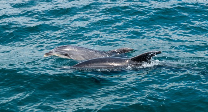 E60AD643-C6A3-4B01-841B-F9AFE277F049