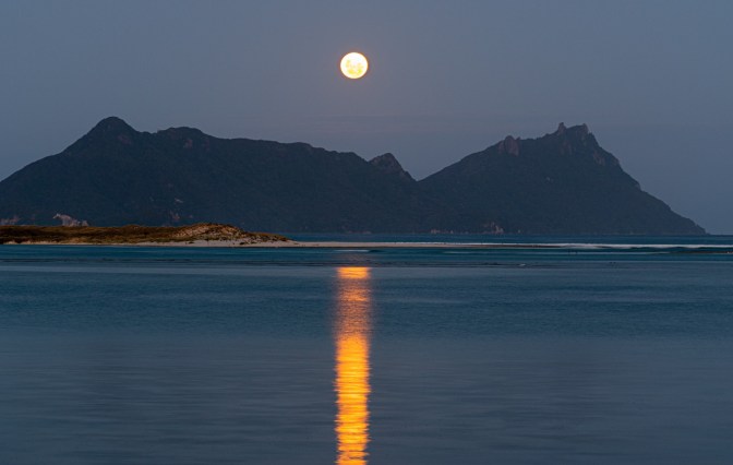 EE902F0D-D57B-4426-88DF-C3F18E4BAFFC