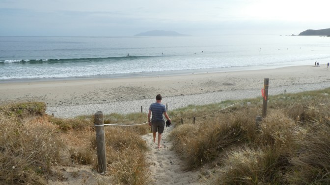 1DD55601-276D-40A6-98BC-DB29B56235DA