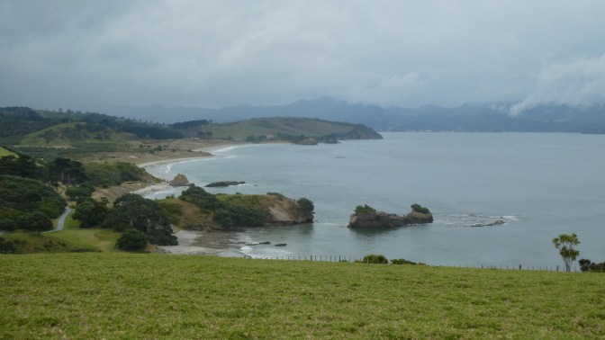 2D486F98-67B5-4A33-80A0-5CCD43C77F19