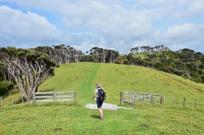 40D3306B-7A40-4658-BD7D-8146898372AD