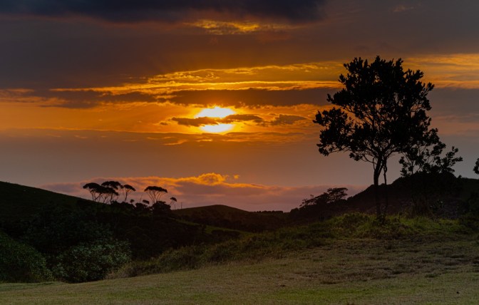 6C64DE70-40C1-4E63-9C65-64AB26DB0109