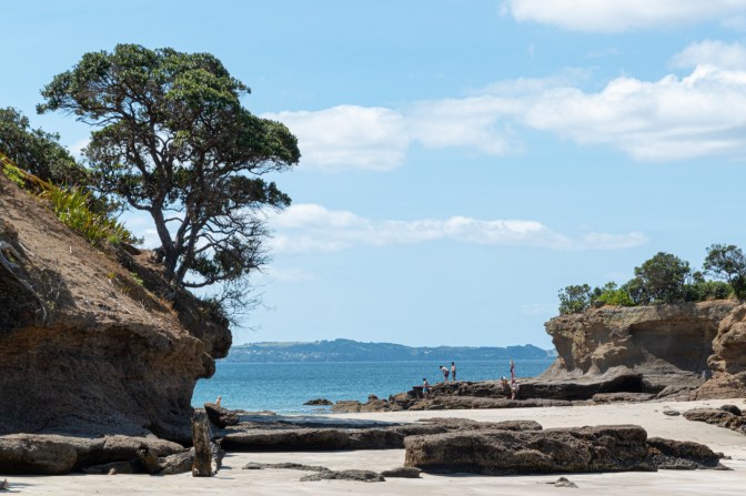 76C09976-89D0-4CAA-B318-9F91D5E68392