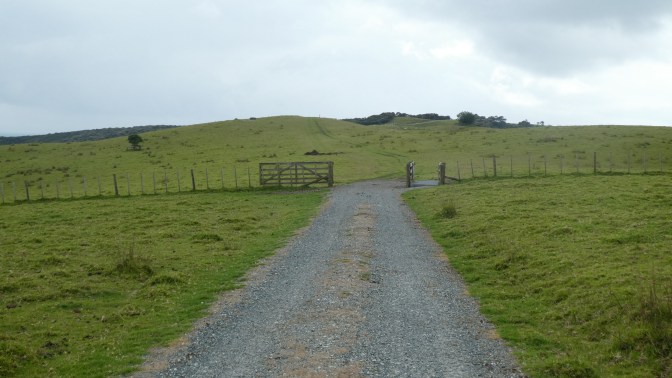 8E47D2F0-E019-4548-BE8C-94C9AA54714C