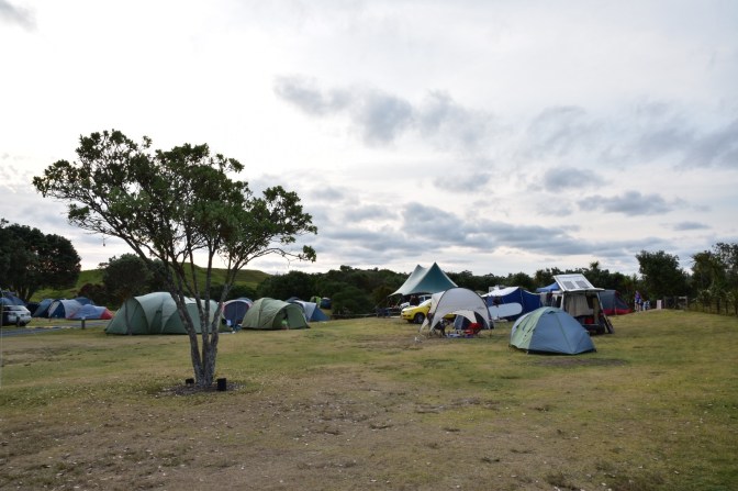 8E59B8B4-55FE-4A63-BD66-40A55F9F68E2