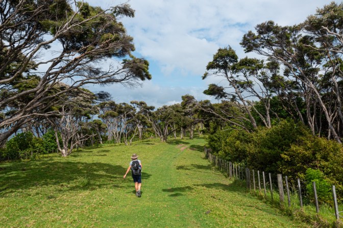 9F2F4F21-715A-4B23-A9FA-7B0D71DF7C7B