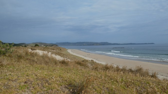 A4D680F9-304F-4EC6-B4E7-1B042B0F6EB2