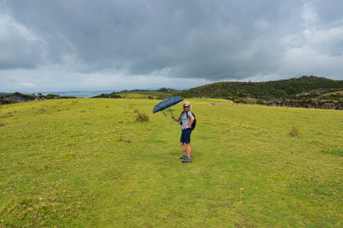 AFB458D3-475F-4082-9907-DAB60BAE2F08