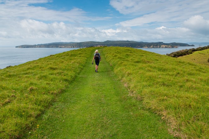 B72388C3-67DB-4022-9D0D-CD192F99CA68