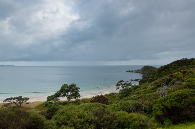 C02F5943-E07D-4664-9E6F-52951DEAC230