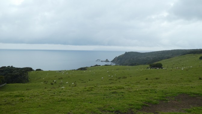 FE635B16-43B4-4C3F-8374-FDA9C5EC35E4