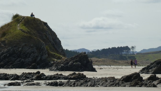 FFB02A87-6551-4851-8205-D8A378CE7CA3