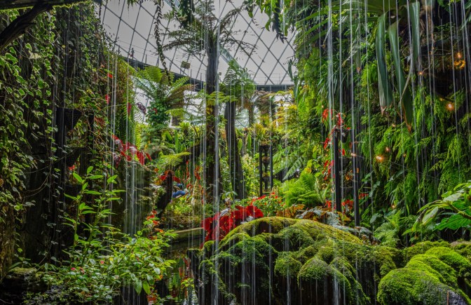 06258B95-920B-4A1E-9C7A-99BB273D2336