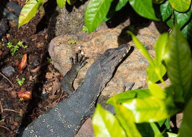 0E168C1E-6FDF-40CC-8B00-3DF3C531EA77