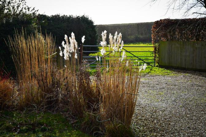 13DF686D-C8FA-43C0-AFD6-1D6A24BF5512