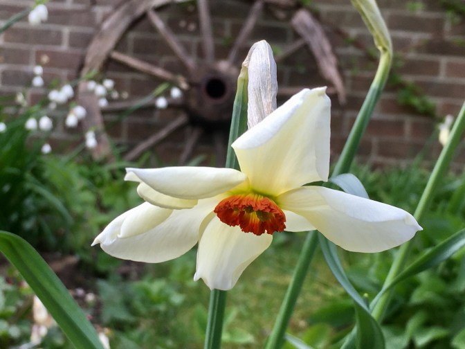 237FDD69-600B-4235-A280-B67A6CEAB468