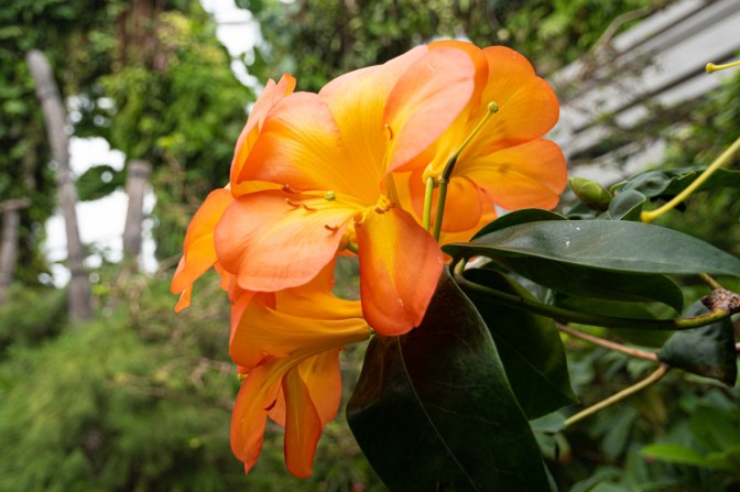 2A5F0EB9-1581-4861-ACBF-7746E9CA5DF1