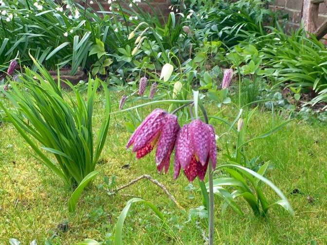 45D8E71E-D19D-4AE7-A7EE-8539183CF871